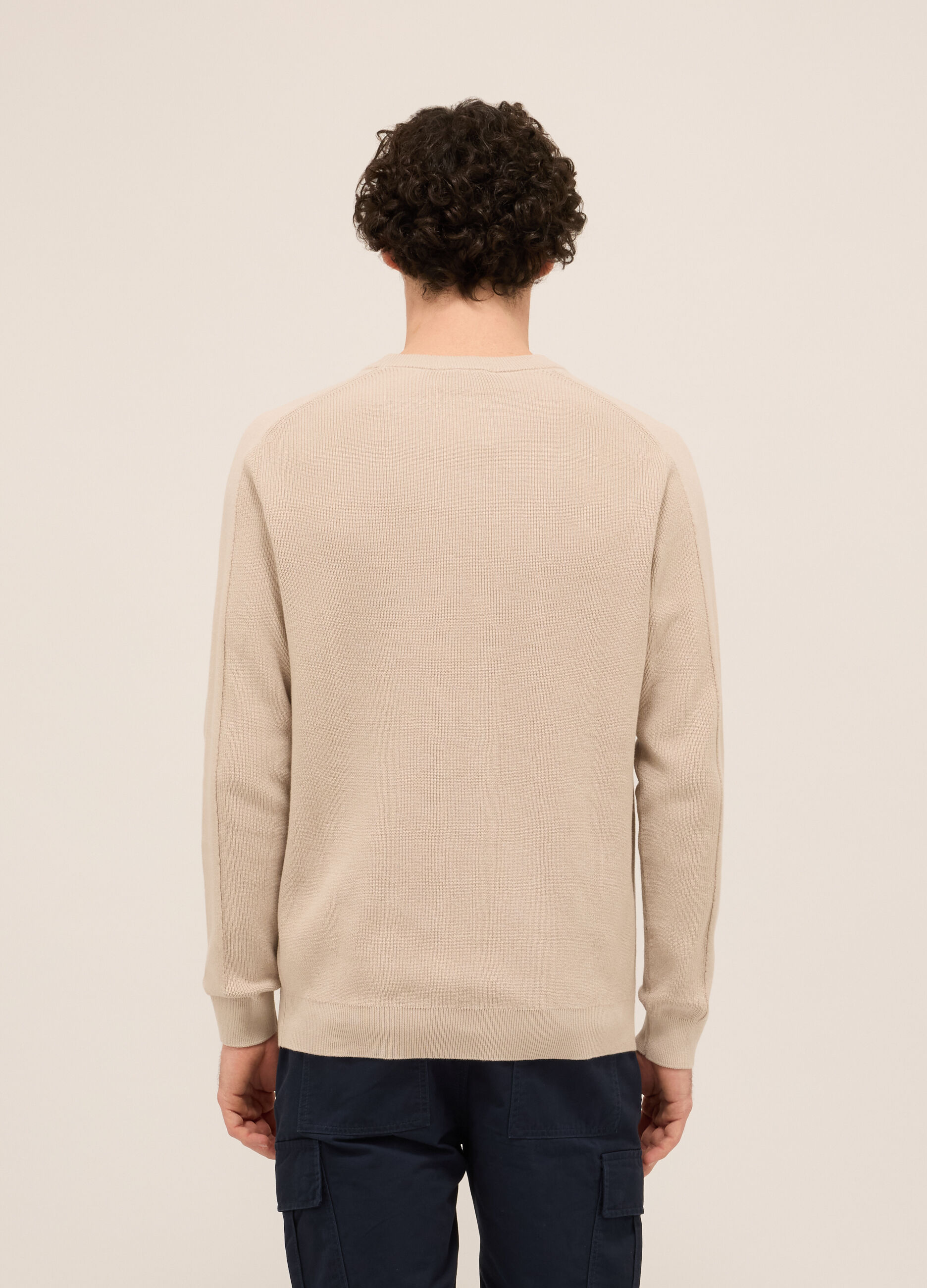 Maglione girocollo in puro cotone uomo_1