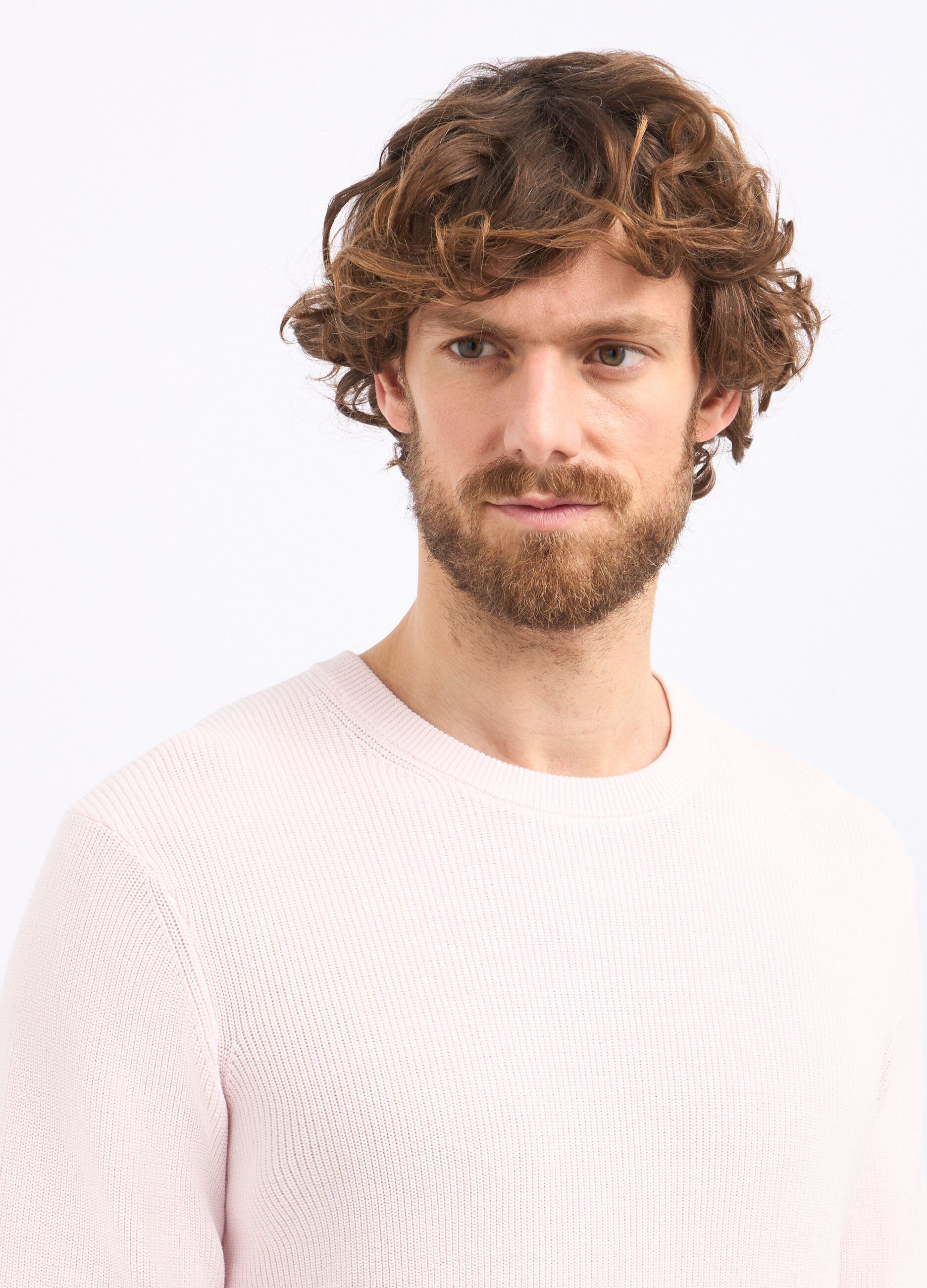 Girocollo tricot in puro cotone uomo_2
