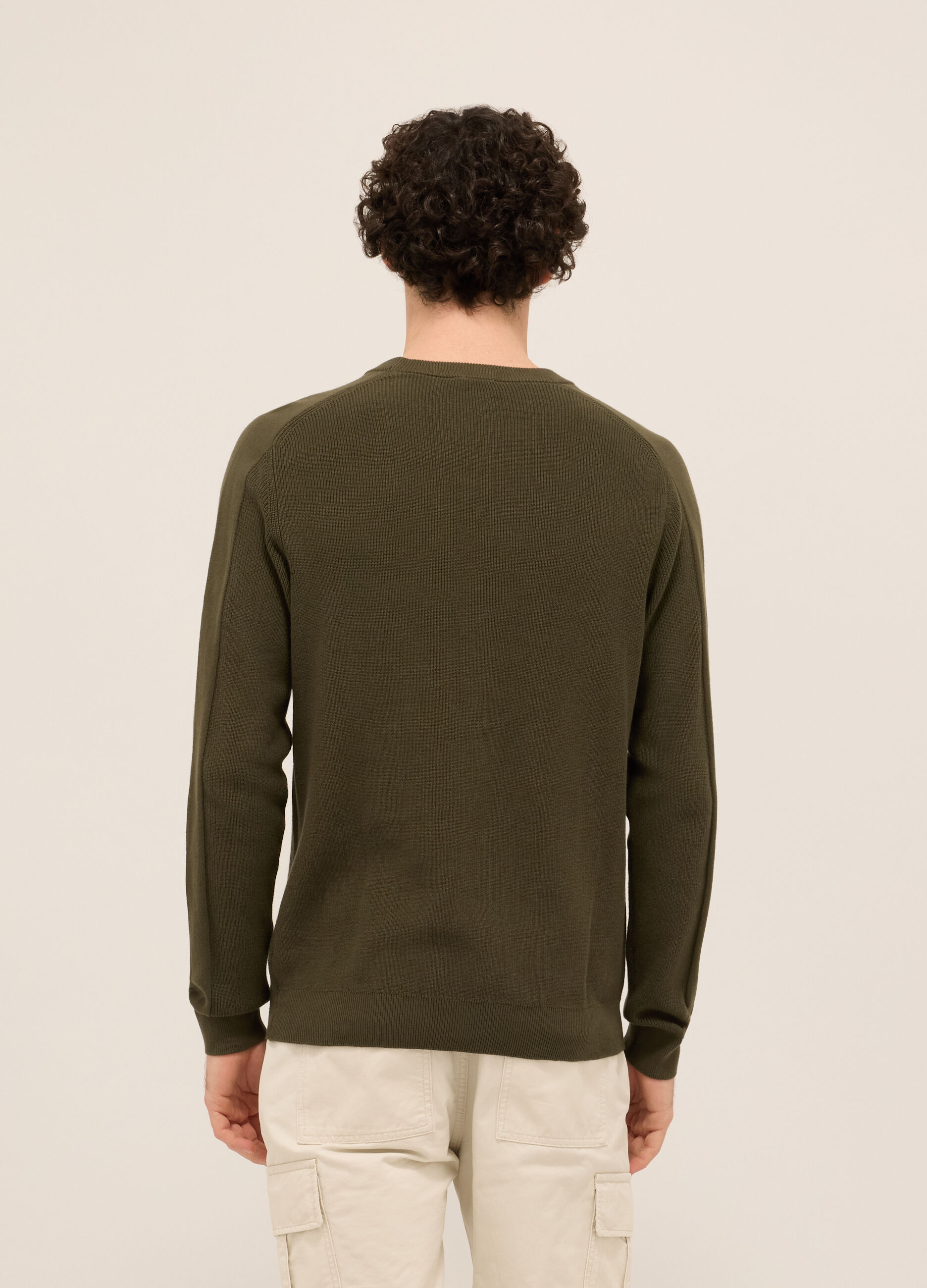 Maglione girocollo in puro cotone uomo_1