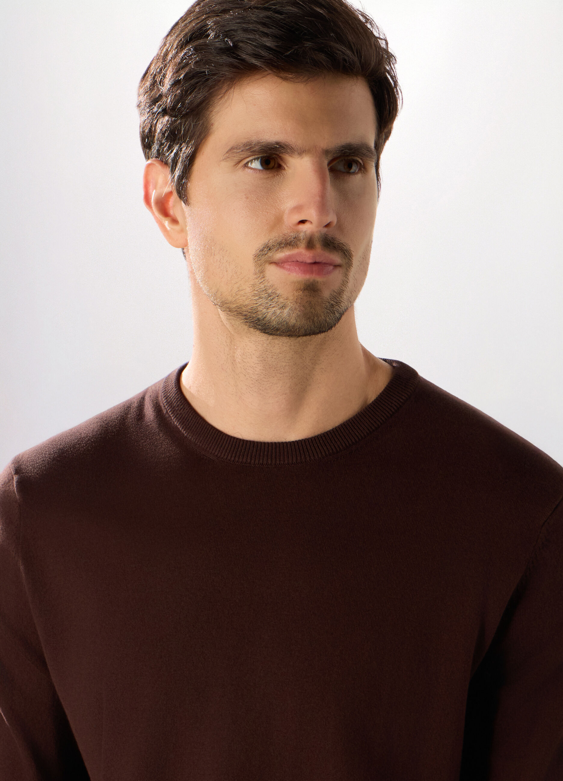 Maglione girocollo in misto cotone uomo_2