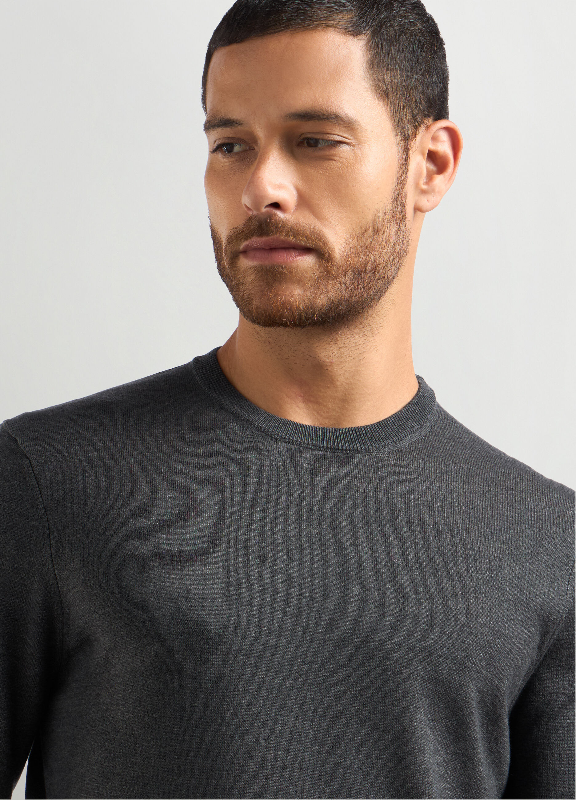 Maglione girocollo misto cotone uomo_2