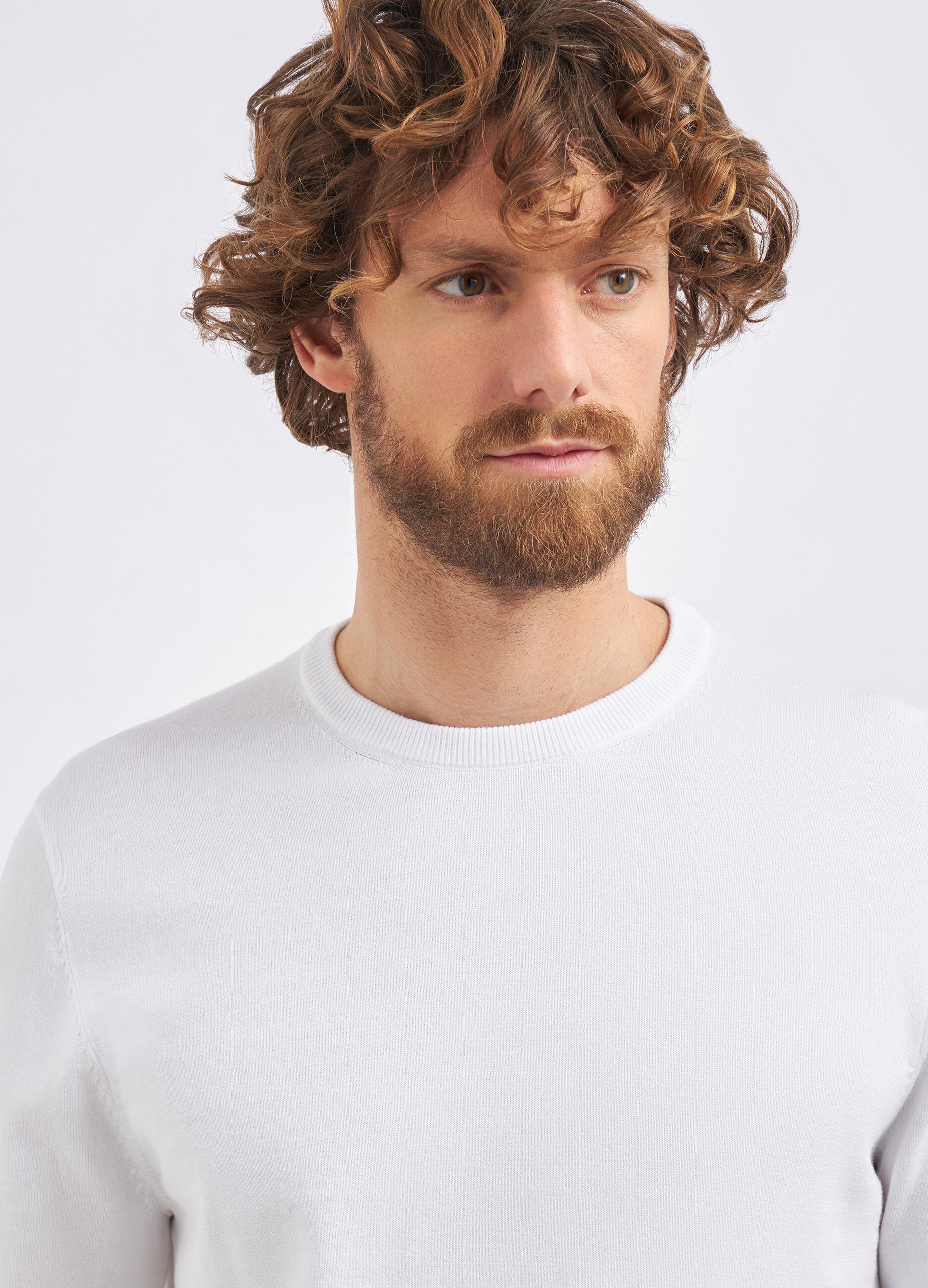Pullover in puro cotone uomo_2
