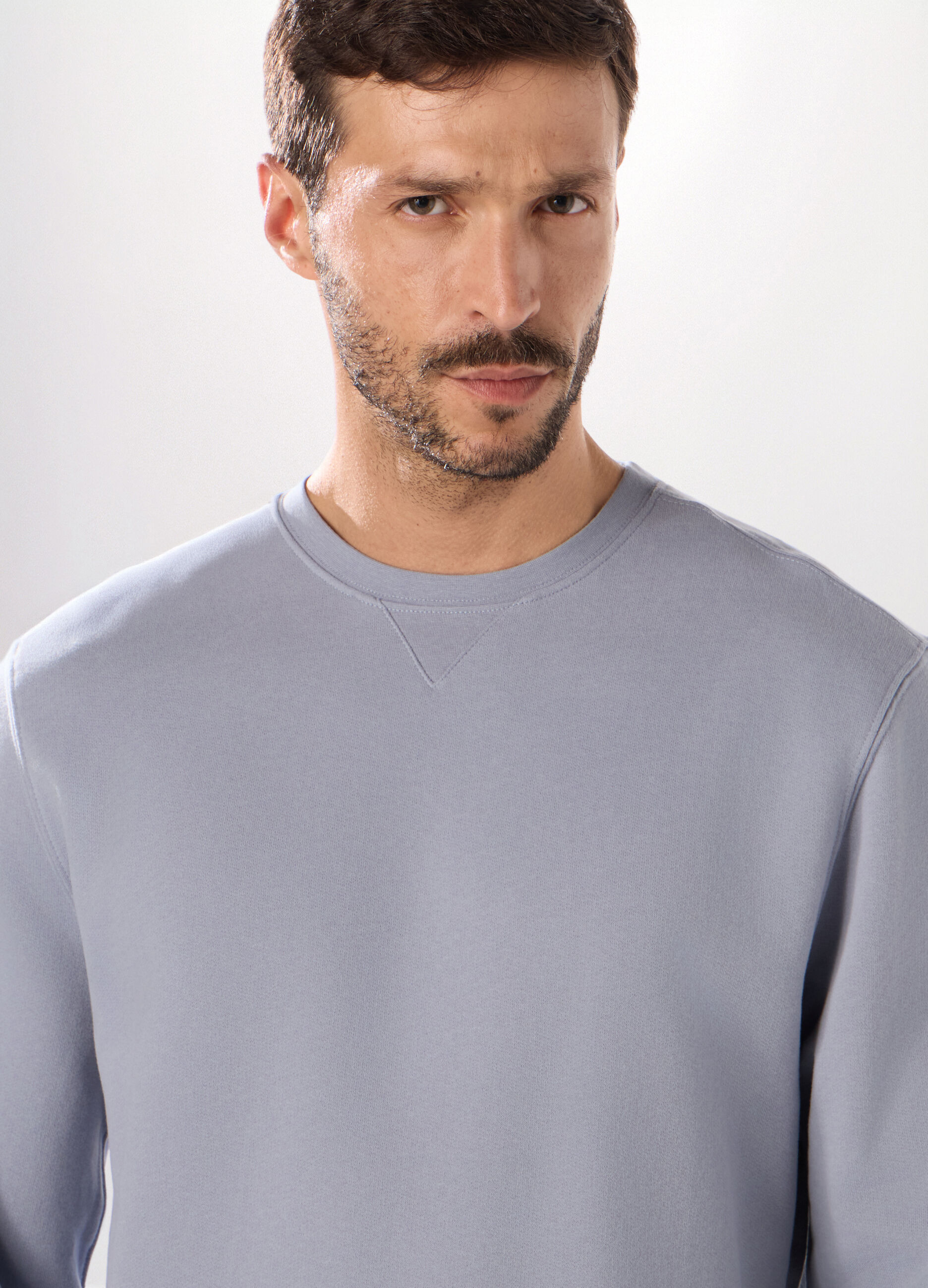 Felpa girocollo in puro cotone uomo_2