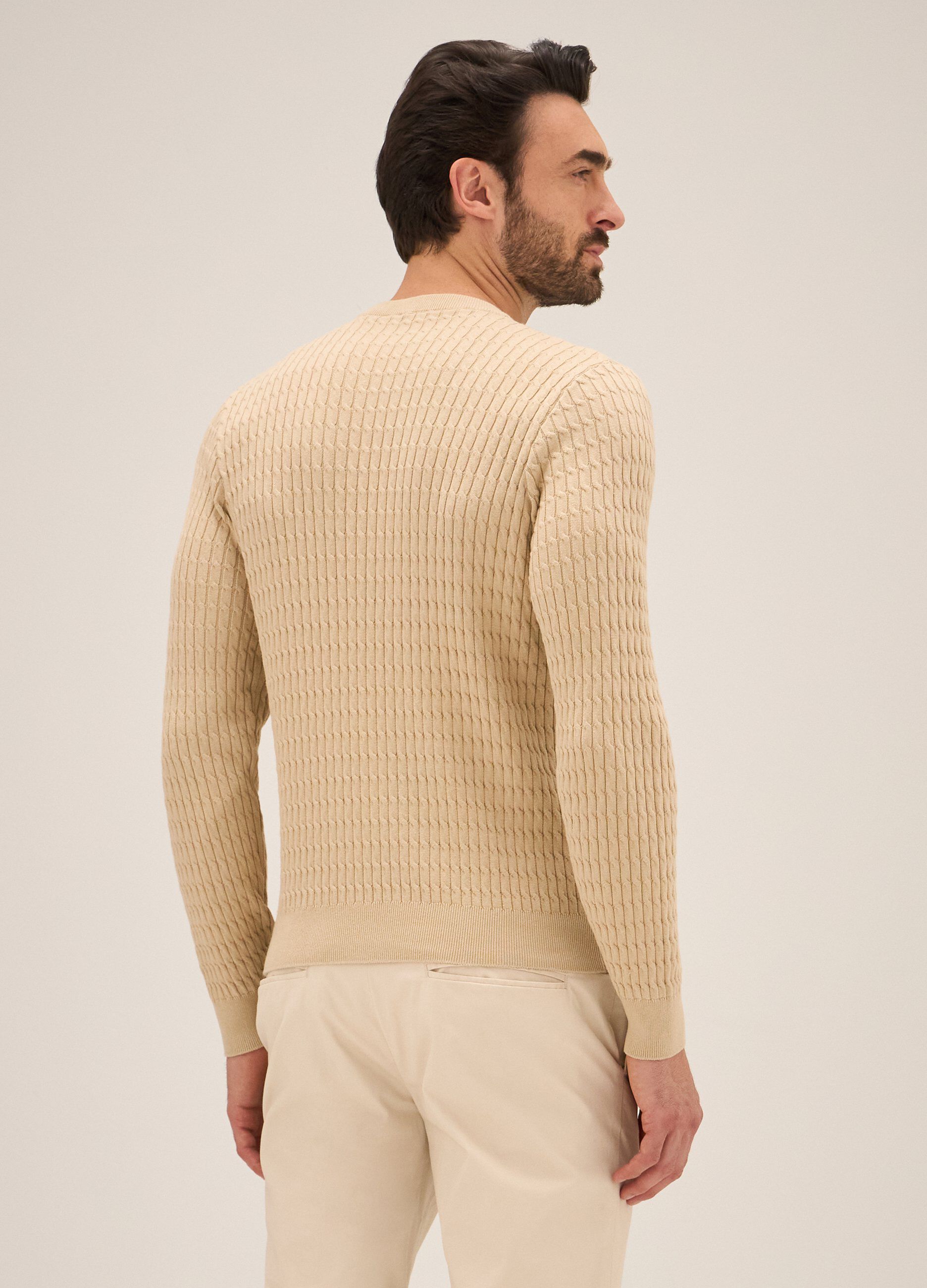 Tricot a girocollo in puro cotone Rumford uomo_1